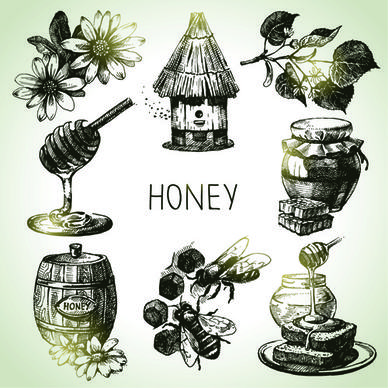 hand drawn honey elements vector icons