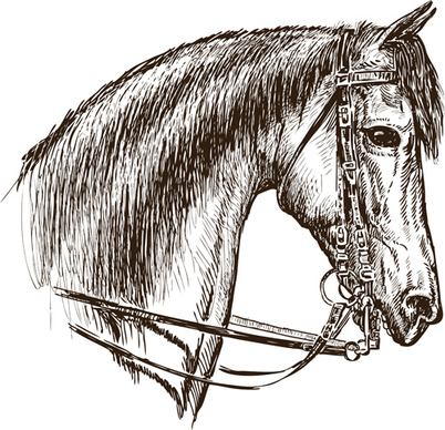 hand drawn horse vector set