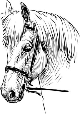 hand drawn horse vector set