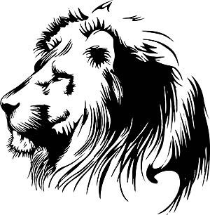 hand drawn lion head vector graphic
