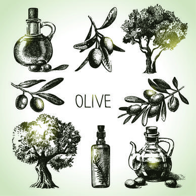 hand drawn olive elements vector icons