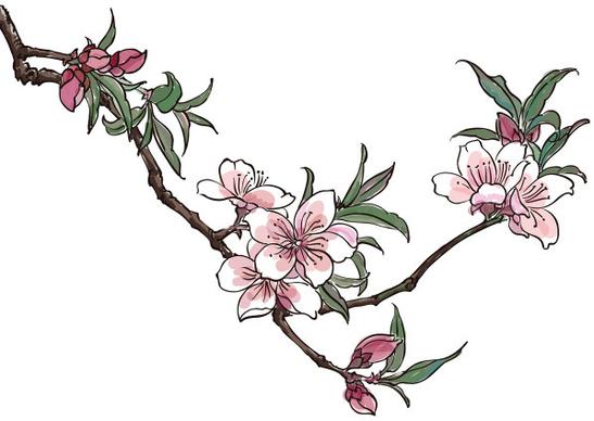 hand drawn peach blossom creative vector graphics