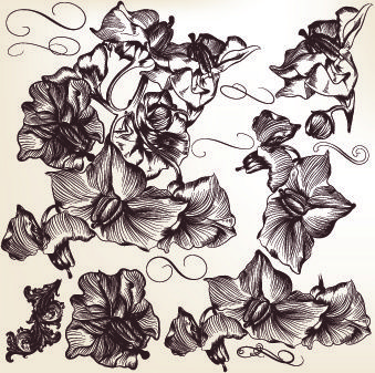 hand drawn retro floral art vector