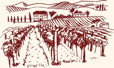 hand drawn retro vineyard elements vector