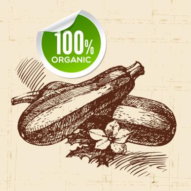 hand drawn vegetables with organic sticker vector