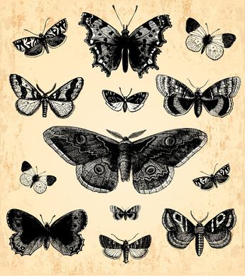 hand drawn vintage butterflies vectors set