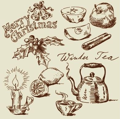 hand drawn vintage food illustrations vector