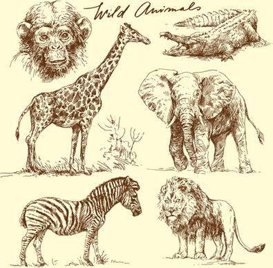 hand drawn wild animal design vectors