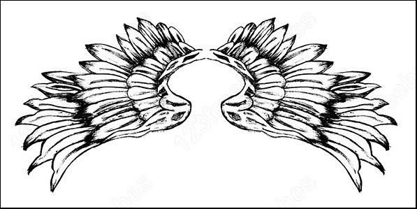 hand drawn wings free vector and photoshop brush