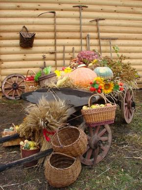 harvest produce cart wagon