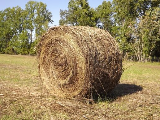 haystack farm hay