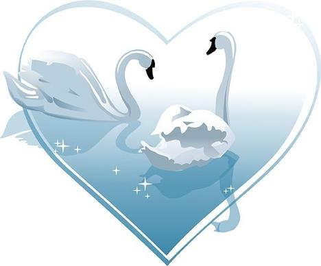 heartshaped white swan vector