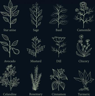 herb icons collection flat dark design various types