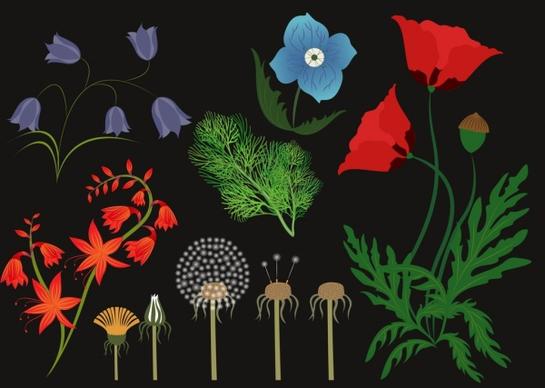 herbal icons background various multicolored flora decoration