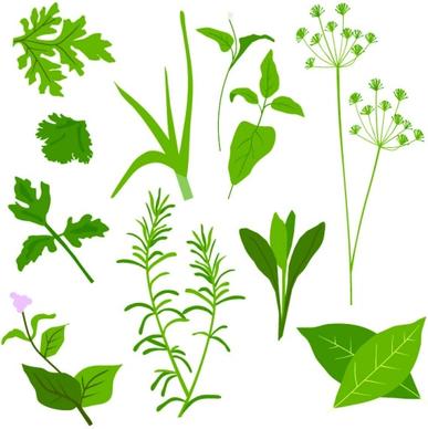 herbal leaves 01 vector