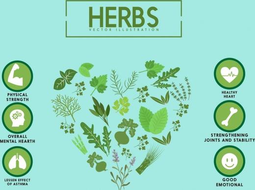 herbal promotion banner organ icons various plants decor