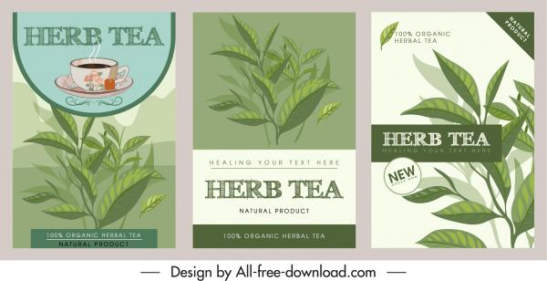 herbal tea advertising background classic handdrawn decor