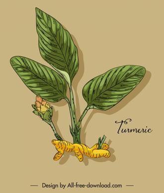 herbal turmeric icon colored classic handdrawn sketch