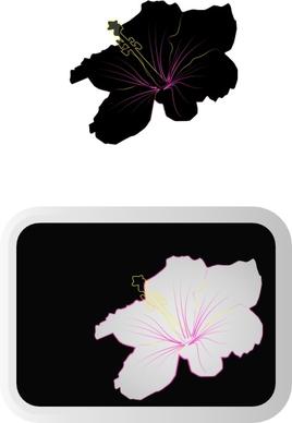 Hibiscus  clip art
