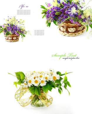 highquality pictures of beautiful flowers background pattern 2