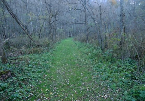 hiking path at beaver creek valley state park minnesota