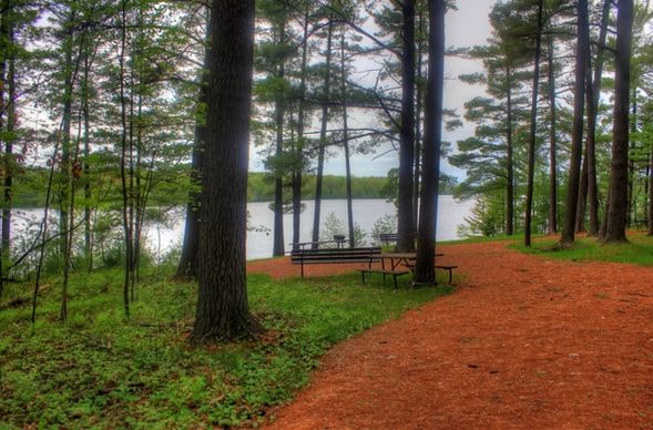 hiking path to the picnic path at council grounds state park wisconsin