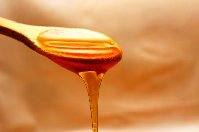 honey backdrop picture elegant dynamic closeup