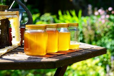 honey farming backdrop picture elegant outdoor garden scene closeup