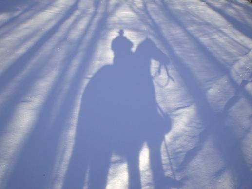 horse shadow