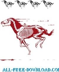 horse silhouette skelett stencil