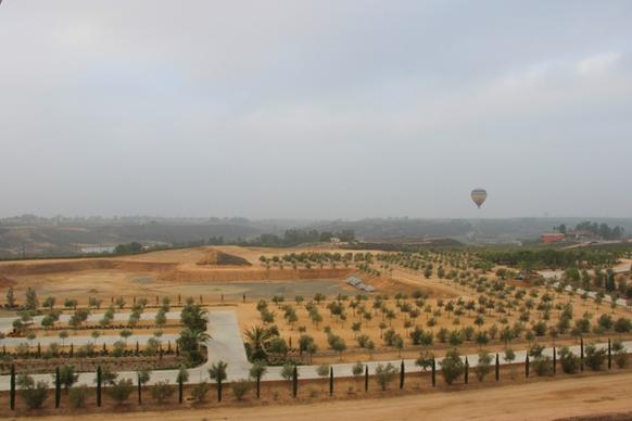 hot air balloon over fields of planted trees