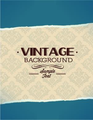 huge collection of vintage background vector