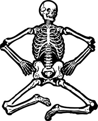 Human Skeleton clip art