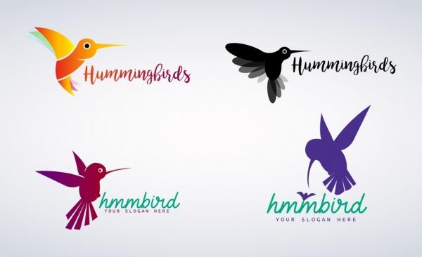 hummingbird logotypes various colored flat isolation