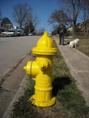 hydrant yellow street