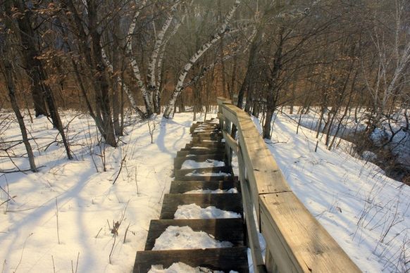 icy staircase at john a latsch state park minnesota