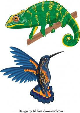 iguana bird icons colorful modern design