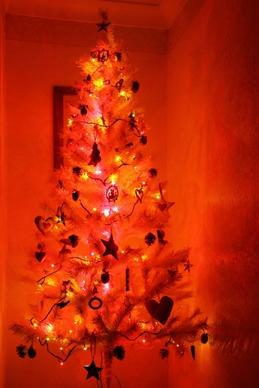 illuminated christmas tree