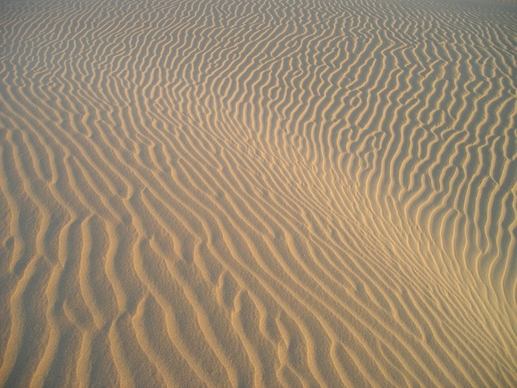 india desert sand