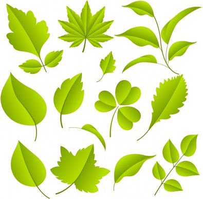 decorative leaf icons shiny modern green shapes sketch