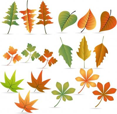 decorative leaf icons colorful modern shapes sketch