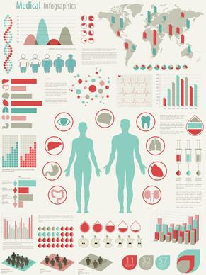 information chart vector graphics