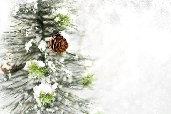 inkind christmas background 2 hd pictures