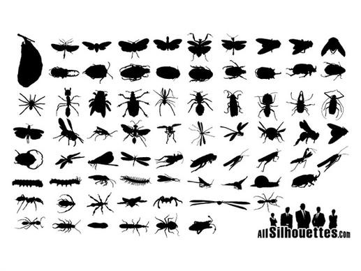 
								Insect Silhouettes.							