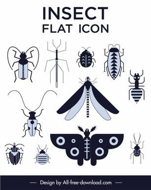 insects creatures icons black white flat design