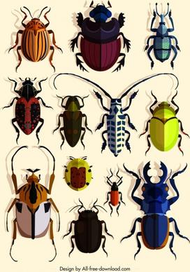 insects design elements bugs species icons colorful design