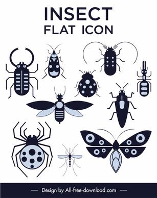 insects species icons black white flat sketch