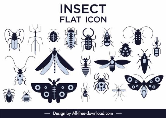 insects species icons collection black white flat sketch