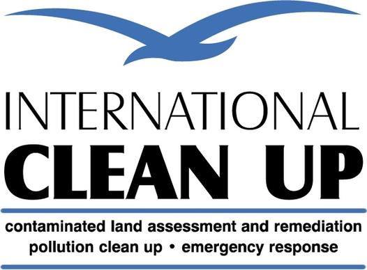 international clean up