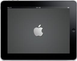 iPad Landscape Apple Logo